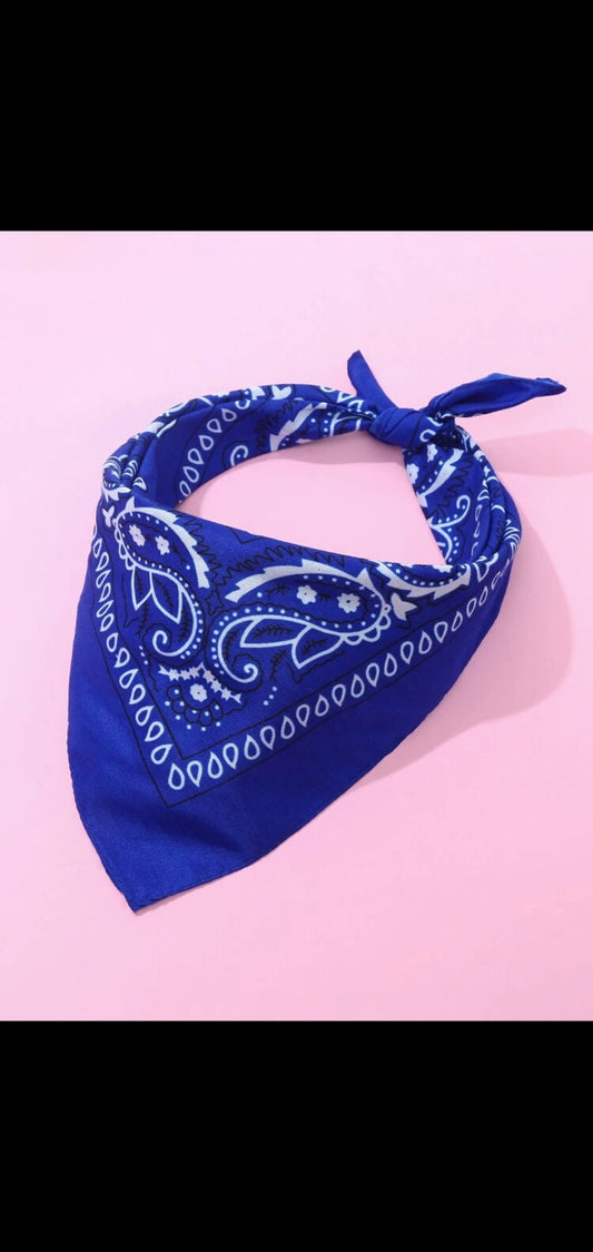 Bandanas multi colour